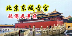 污插拔动态视频中国北京-东城古宫旅游风景区